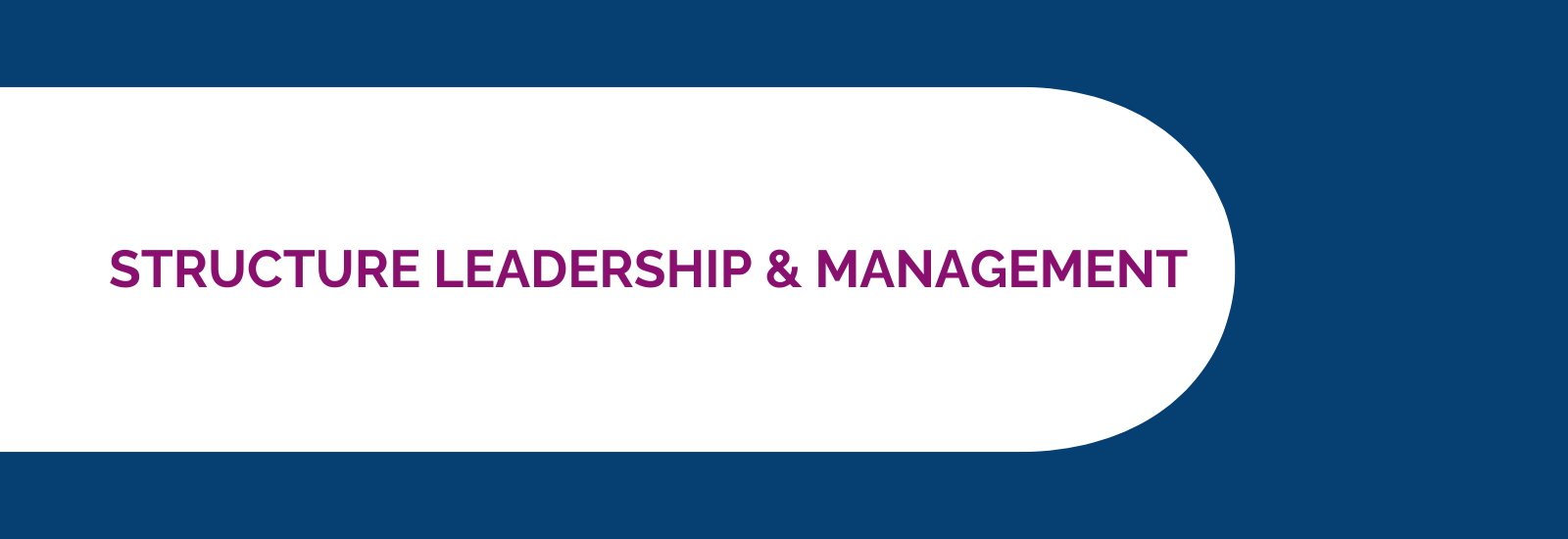 Structure Leadership & Management Case Study